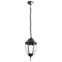 Светильник уличный подвесной Arte Lamp Pegasus A3151SO-1BN