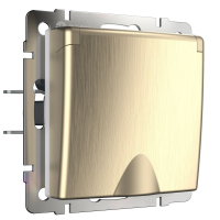 Розетка с защитной крышкой и шторками Werkel W1171210 шампань рифленый