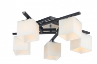 Люстра потолочная Arte Lamp VISUALE A8165PL-5BK