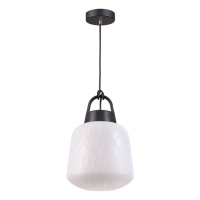 Novotech Conte 370601 подвесной уличный светильник