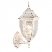 Уличный настенный светильник Arte Lamp Pegasus A3151AL-1WG