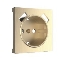 Лицевая панель розетки USB Werkel W1179510 шампань рифленый