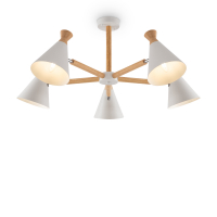 Freya Rise FR5169PL-05W потолочная люстра