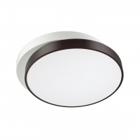 Lumion Agatha 4509/72CL потолочный светодиодный светильник