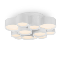 Freya Marilyn FR6043CL-L30W потолочный светодиодный светильник