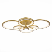 Evoled Leto SLE200322-06 потолочный светодиодный светильник