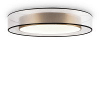 Freya Zoticus FR6005CL-L48G потолочный светодиодный светильник