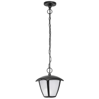 Lightstar Lampione 375070 уличный подвесной светодиодный светильник