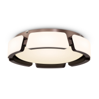 Freya Ethan FR6041CL-L92W потолочный светодиодный светильник