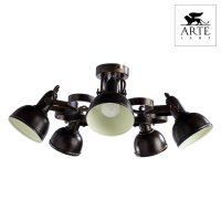 Люстра потолочная Arte Lamp MARTIN A5216PL-5BR