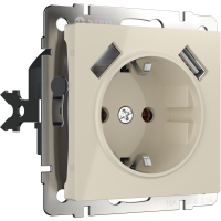 Розетка с заземлением Werkel W1171503 слоновая кость