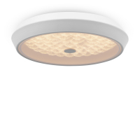 Freya Cells FR10012CL-L24W потолочный светодиодный светильник