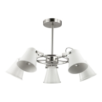 Люстра потолочная Lumion Arudlis 3591/5C
