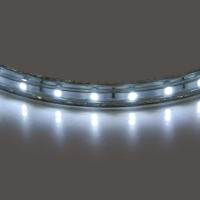 Lightstar 402004 лента светодиодная 220V White 4200-4500K