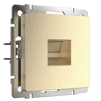 Розетка Ethernet RJ-45 Werkel W1181010 шампань рифленый