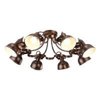Люстра потолочная Arte Lamp MARTIN A5216PL-8BR