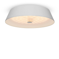 Freya Cells FR10013CL-L24W потолочный светодиодный светильник