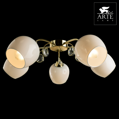 Фото Люстра потолочная Arte Lamp MILLO A9549PL-5GO