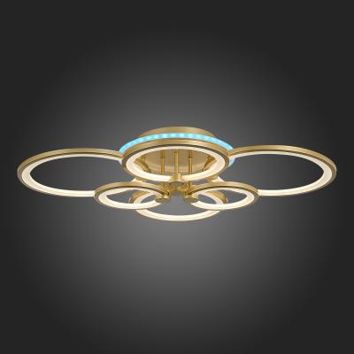Фото Evoled Leto SLE200322-06RGB потолочный светодиодный светильник RGB
