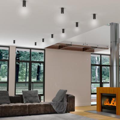 Фото Novotech Elina 370725 накладной точечный светильник