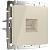 Розетка Ethernet RJ-45 Werkel W1181003 слоновая кость