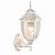 Уличный настенный светильник Arte Lamp Pegasus A3151AL-1WG