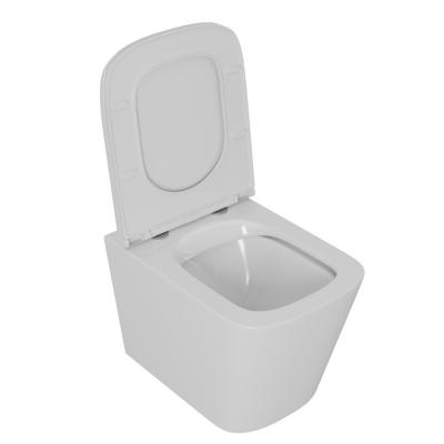Фото Унитаз безободковый подвесной D&K Quadro DT1516016
