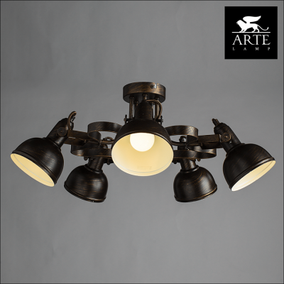 Фото Люстра потолочная Arte Lamp MARTIN A5216PL-5BR
