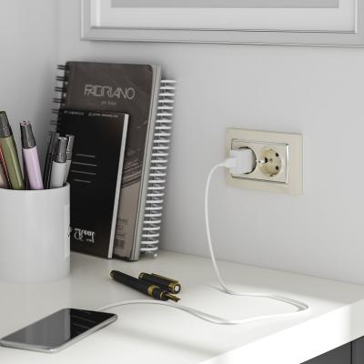 Фото Розетка двойная с заземлением Werkel W1172003 слоновая кость