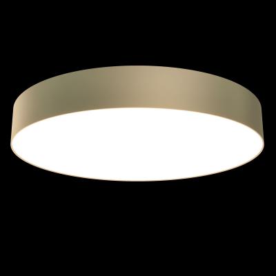 Фото Maytoni Zon C032CL-L48MG4K потолочный светодиодный светильник