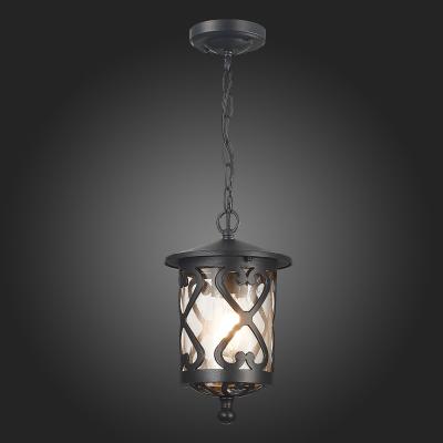 Фото St Luce Lorne SL085.403.01 подвесной уличный светильник
