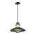 Odeon Light Dante 4164/1 уличный подвесной светильник