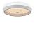 Freya Cells FR10012CL-L24W потолочный светодиодный светильник