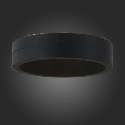 Фото St Luce Molto SL562.401.01 уличный настенный LED светильник