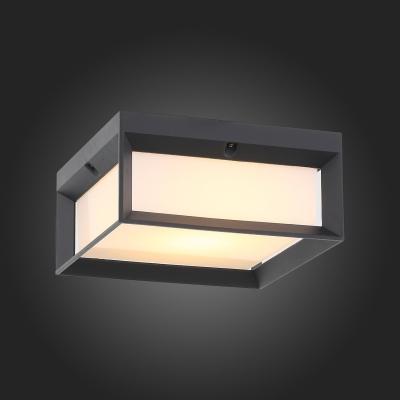 Фото St Luce Cubista SL077.402.01 потолочный уличный led светильник