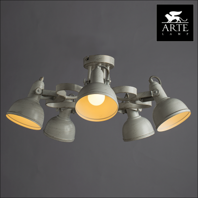 Фото Люстра потолочная Arte Lamp MARTIN A5216PL-5WG
