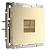 Розетка Ethernet RJ-45 Werkel W1181010 шампань рифленый