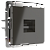 Розетка Ethernet RJ-45 Werkel W1181007 серо-коричневый