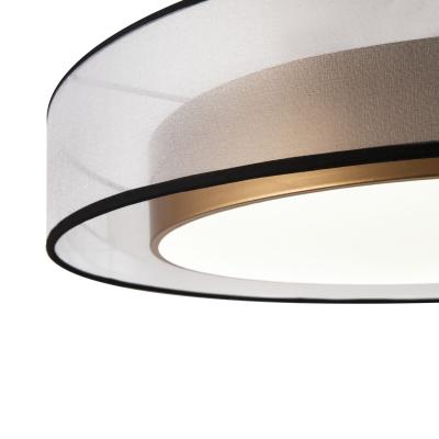 Фото Freya Zoticus FR6005CL-L48G потолочный светодиодный светильник