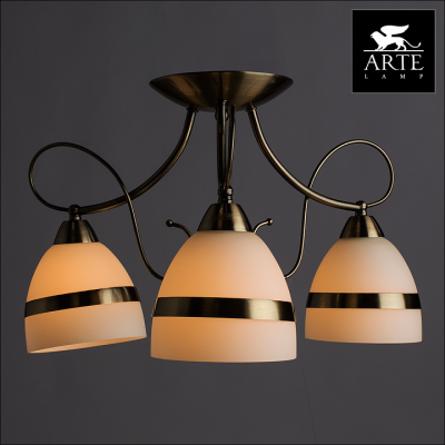 Фото Люстра потолочная Arte Lamp NOEMI A6192PL-3AB