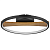 Lightstar Lodi 723027 потолочный светодиодный светильник