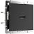 Розетка HDMI Werkel W1186008 черный матовый