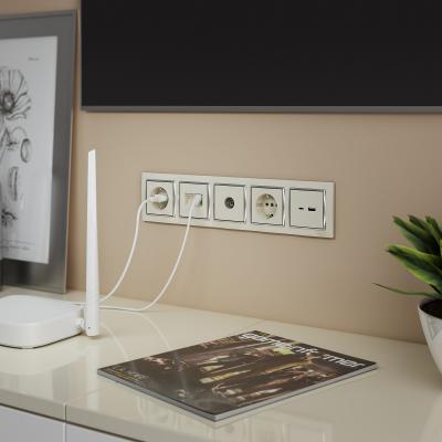 Фото ТВ-розетка оконечная Werkel W1183003 слоновая кость